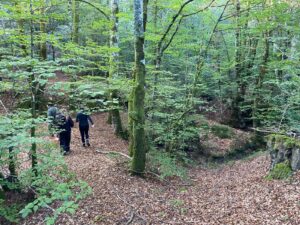 foto de alvaro maldonado (10)