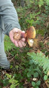 foto de alvaro maldonado (12)