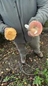 foto de alvaro maldonado (14)