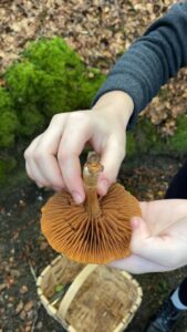 foto de alvaro maldonado (15)