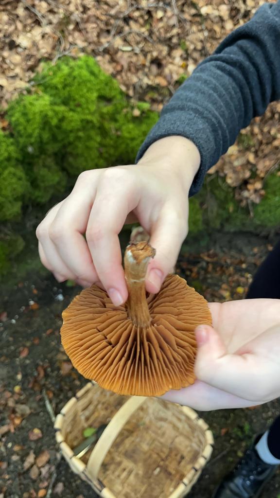 foto de alvaro maldonado (15)