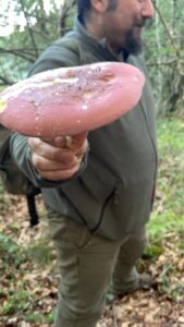 foto de alvaro maldonado (16)