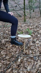 foto de alvaro maldonado