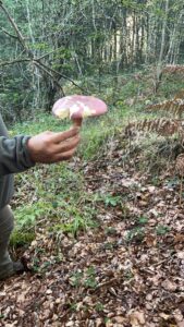 foto de alvaro maldonado (17)