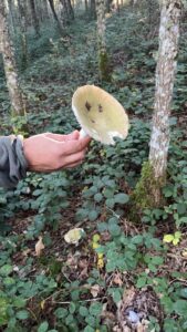 foto de alvaro maldonado (18)