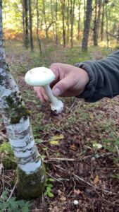 foto de alvaro maldonado (20)