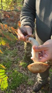 foto de alvaro maldonado (22)