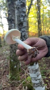 foto de alvaro maldonado (24)