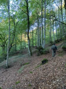 foto de alvaro maldonado (3)