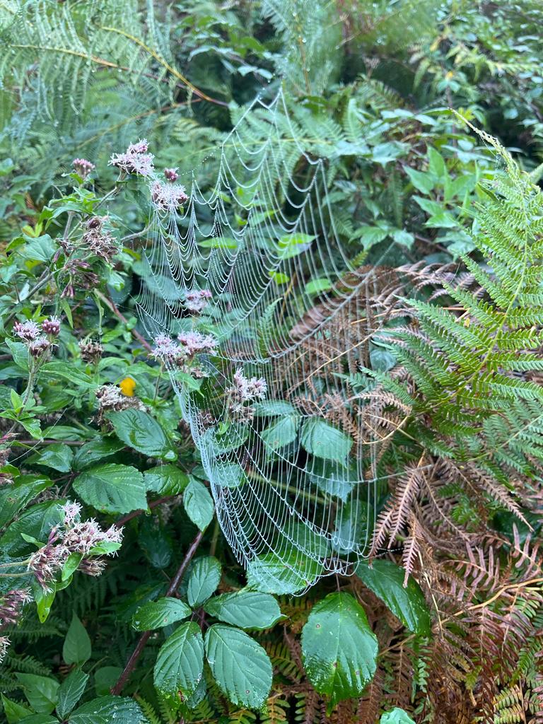 foto de alvaro maldonado (30)