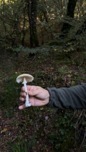 foto de alvaro maldonado (31)