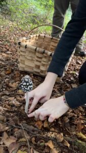 foto de alvaro maldonado (32)