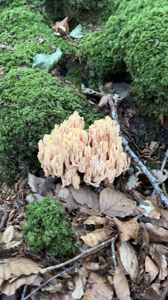 foto de alvaro maldonado (34)