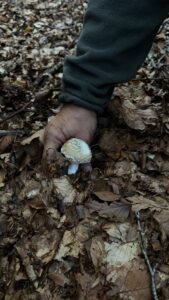 foto de alvaro maldonado (36)