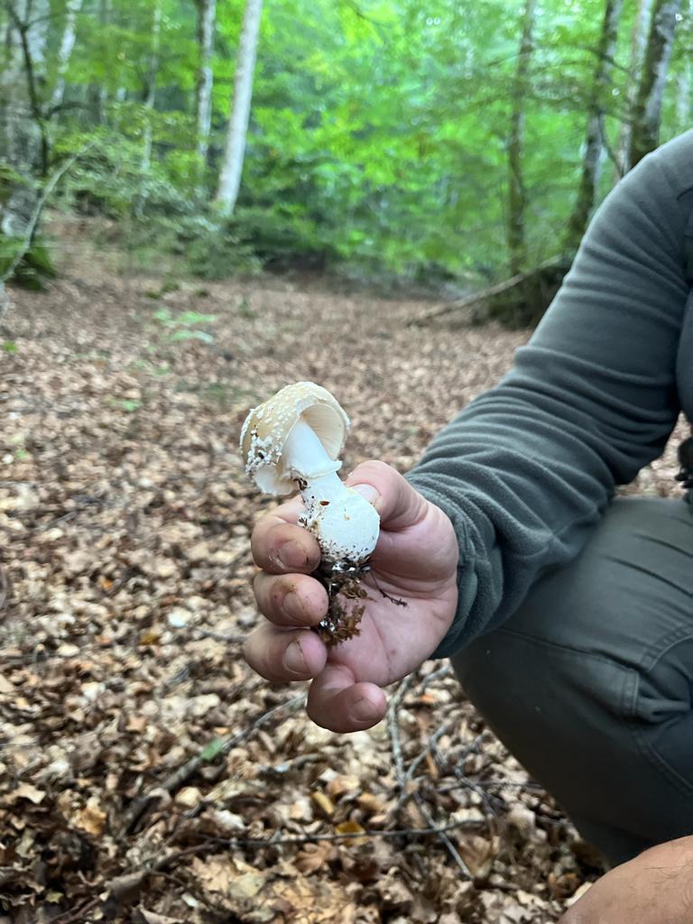 foto de alvaro maldonado (37)