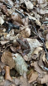 foto de alvaro maldonado (40)