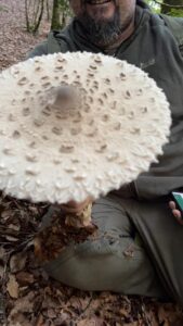 foto de alvaro maldonado (41)