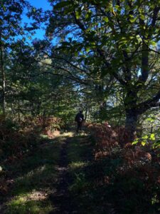 foto de alvaro maldonado (5)