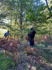 foto de alvaro maldonado (6)