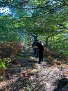 foto de alvaro maldonado (7)