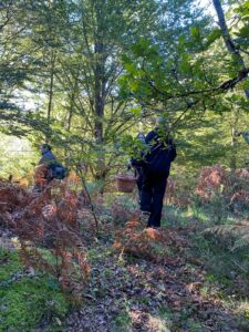 foto de alvaro maldonado (8)