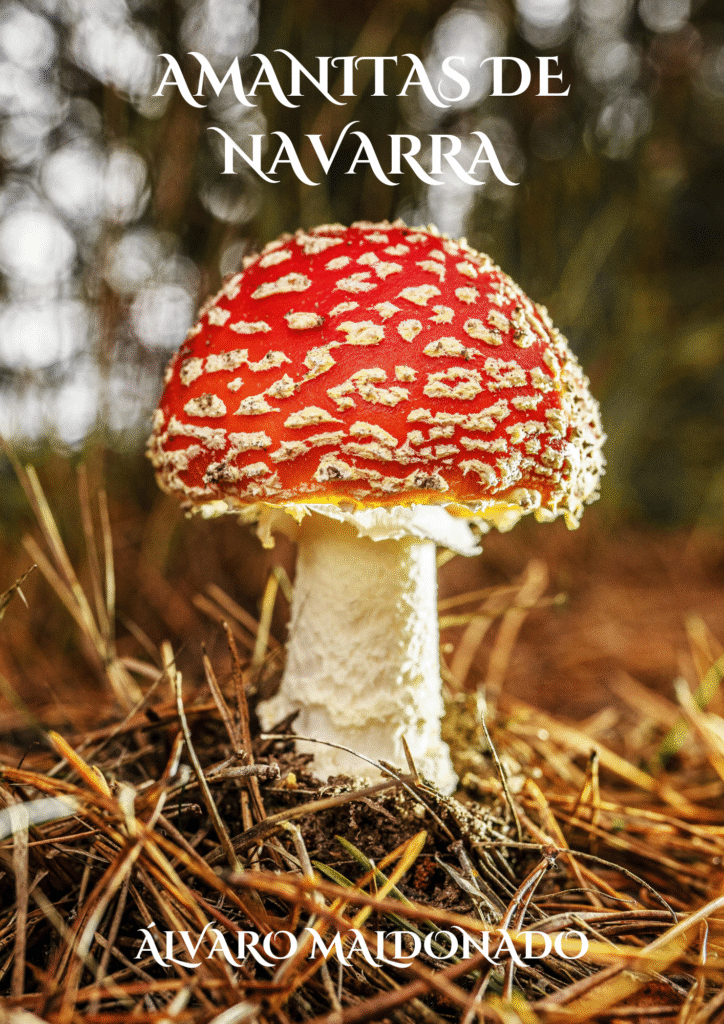 portada amanitas de navarra