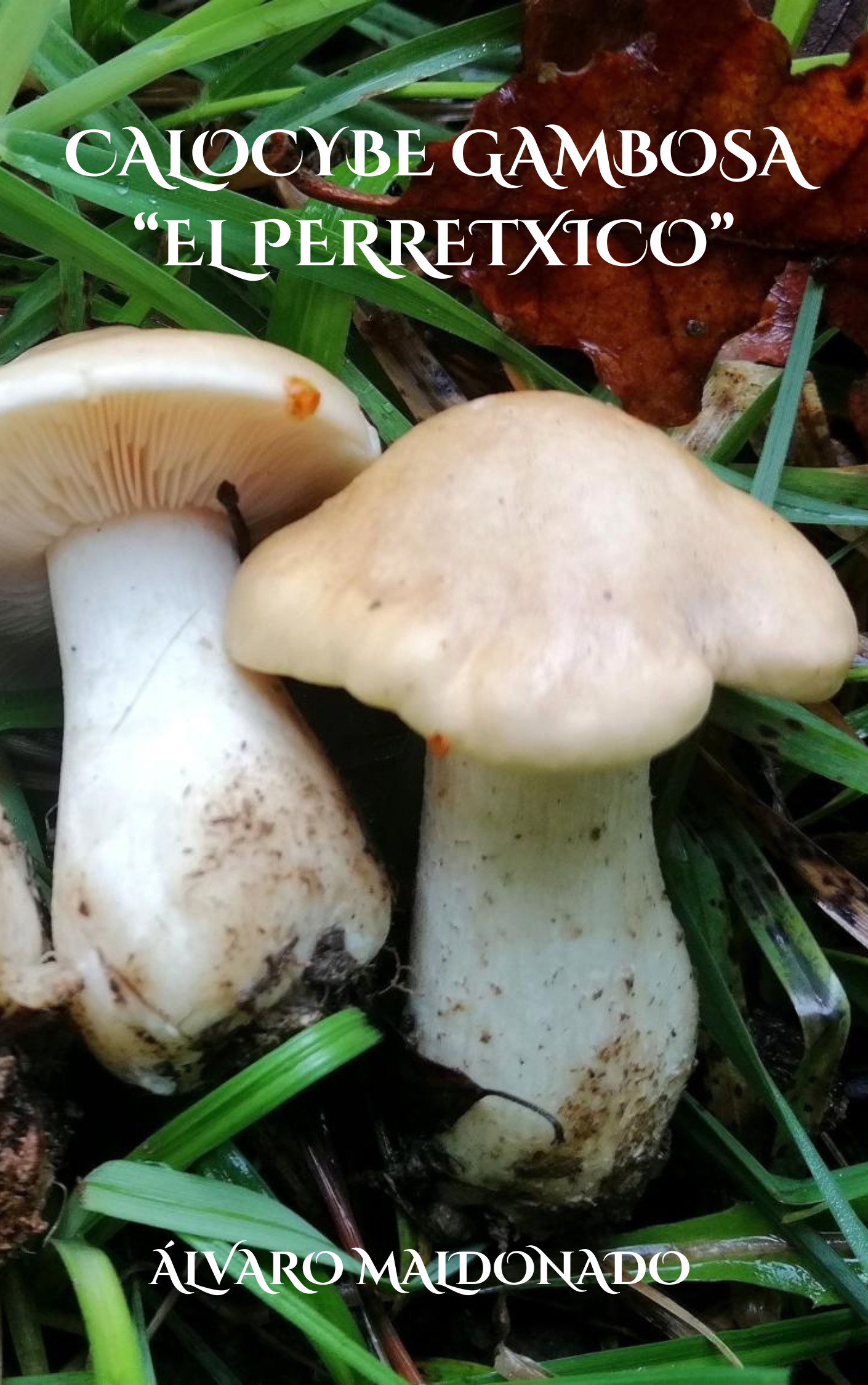portada calocybe gambosa, el perretxico libro de micología