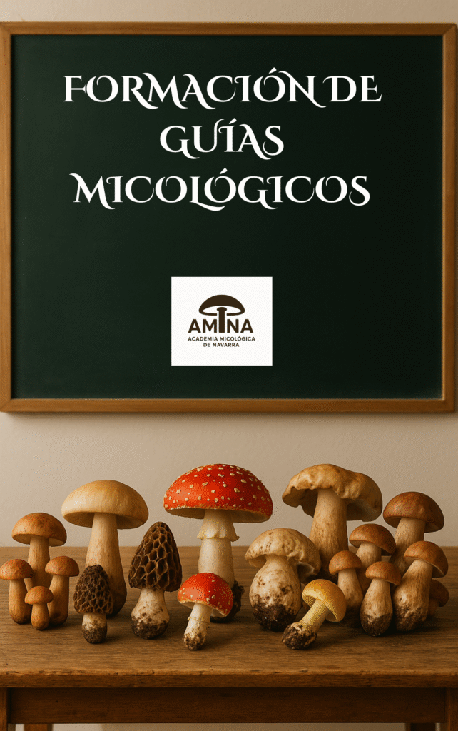 portada formaciÓn de guÍas micolÓgicos