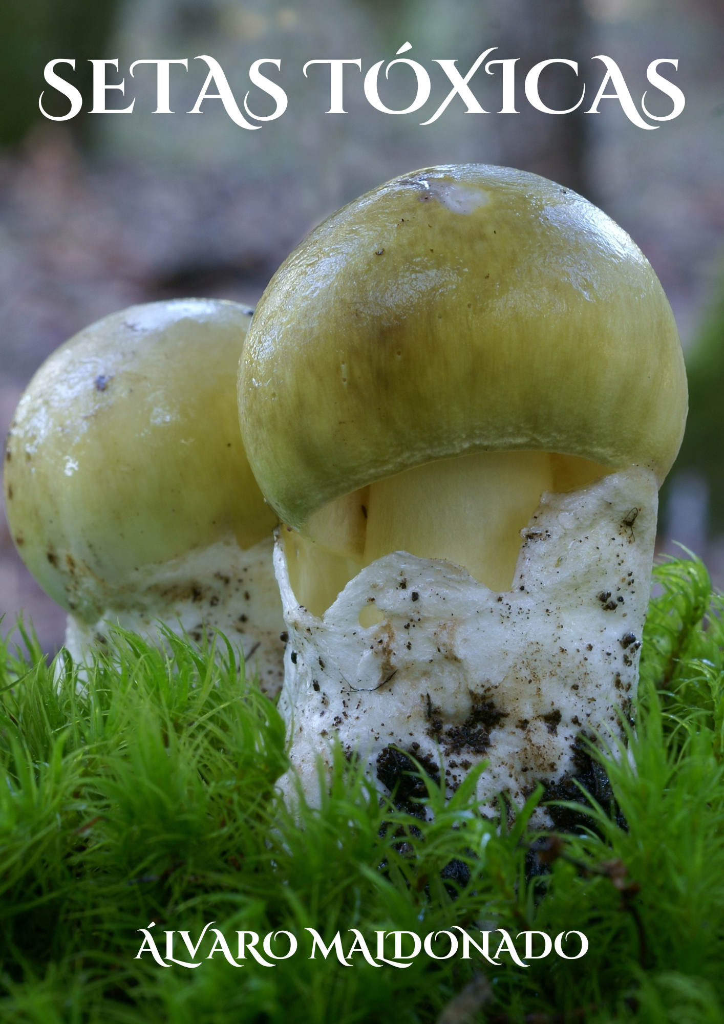 portada setas toxicas libro de micología