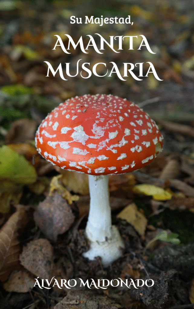portada su majestad, amanita muscaria