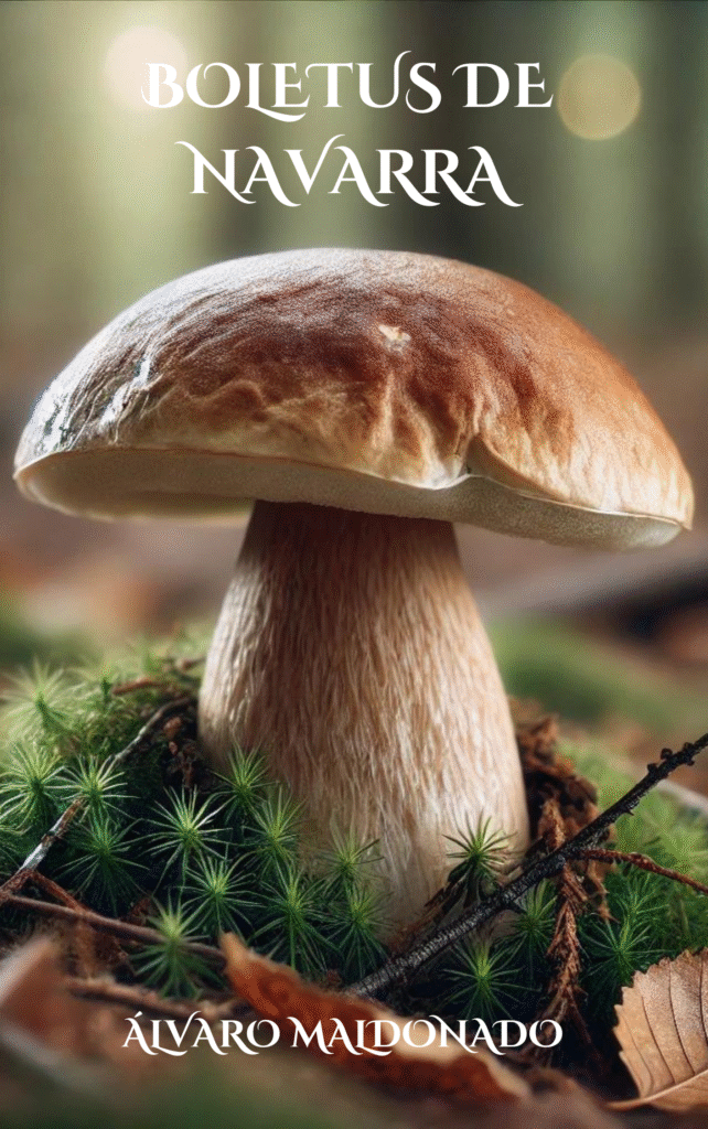 portada boletus de navarra
