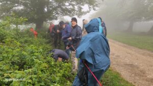 photo 2026 05 04 15 16 19 2